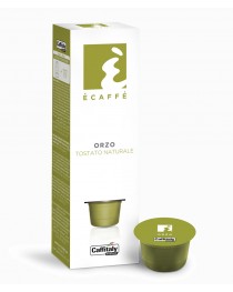 Orzo